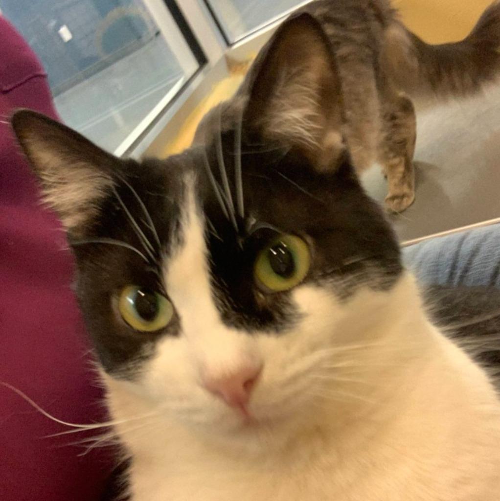 Marion Ravenwood — thumbnail 5