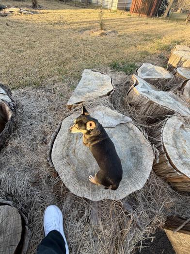 Negan — thumbnail 5