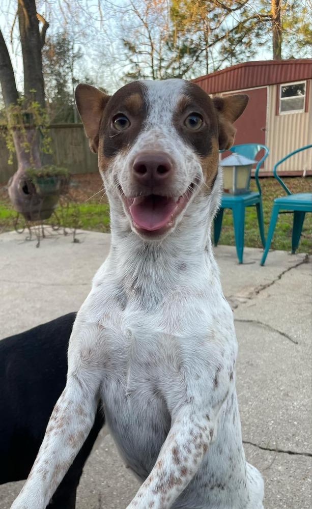 Maybelle — thumbnail 2