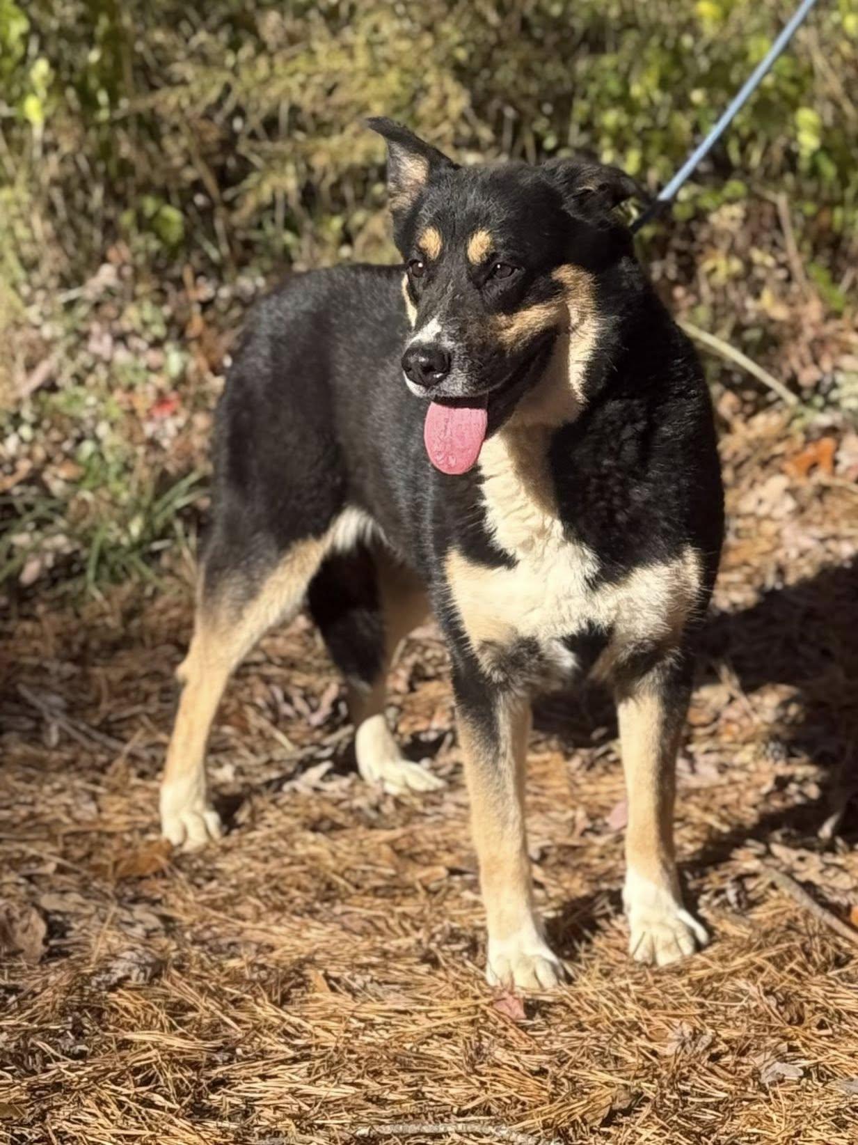 Assiscia thumbnail 2