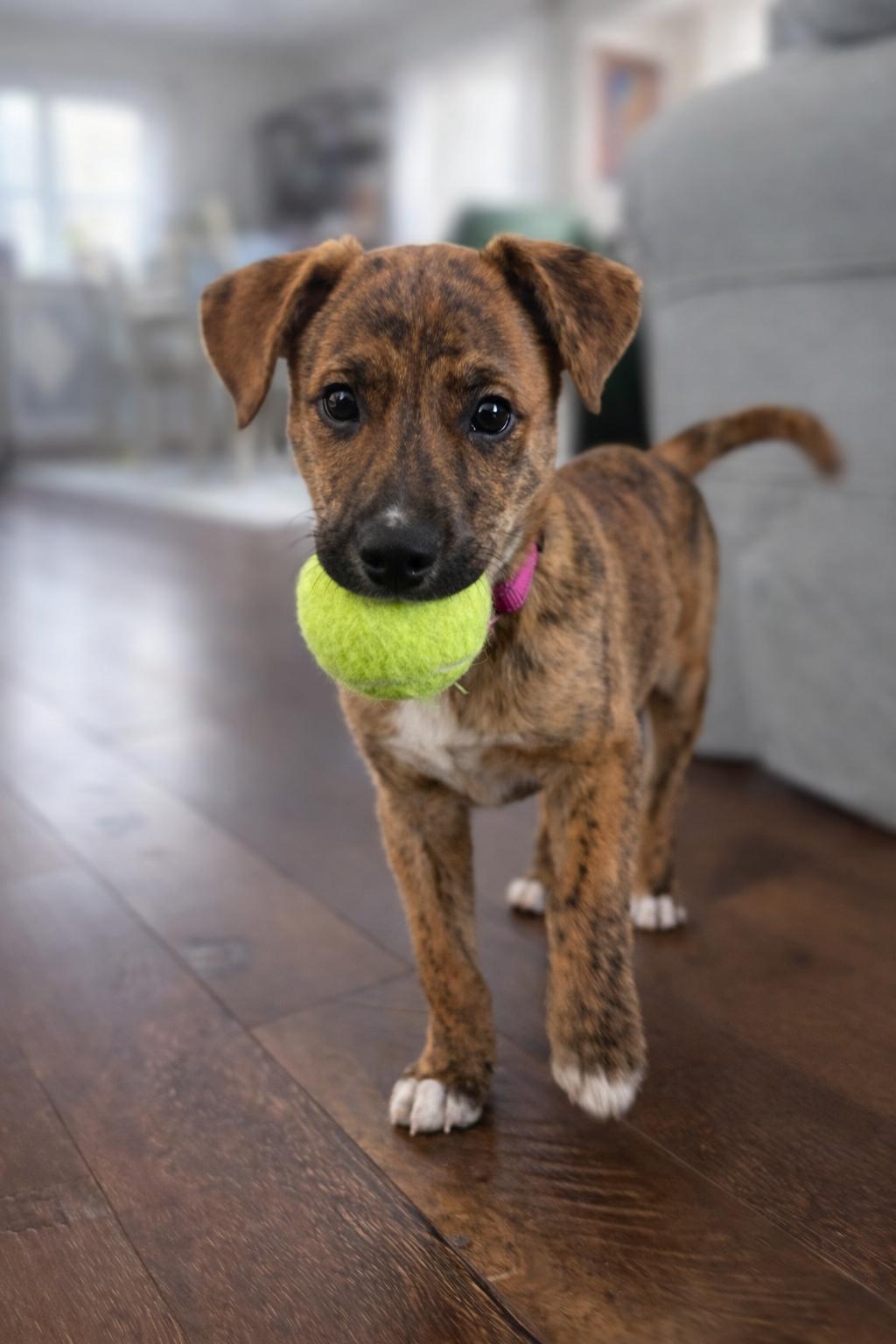 Roo-handsome boy! — thumbnail 2