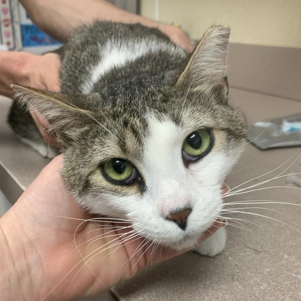 Sunshine thumbnail 2