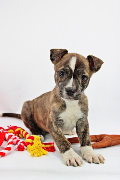 Margarita — thumbnail 2