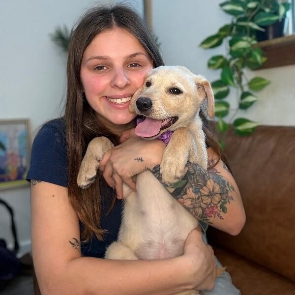 Vanilla Wafer Cookie