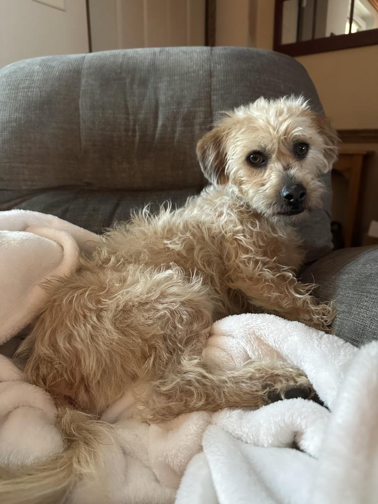 Toby — thumbnail 5