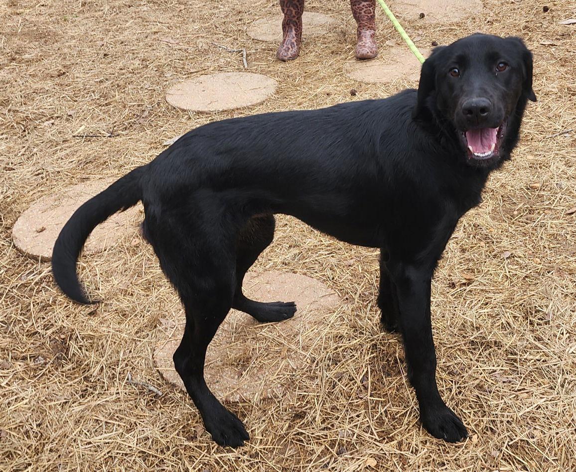 260063 Ellie Mae — thumbnail 2