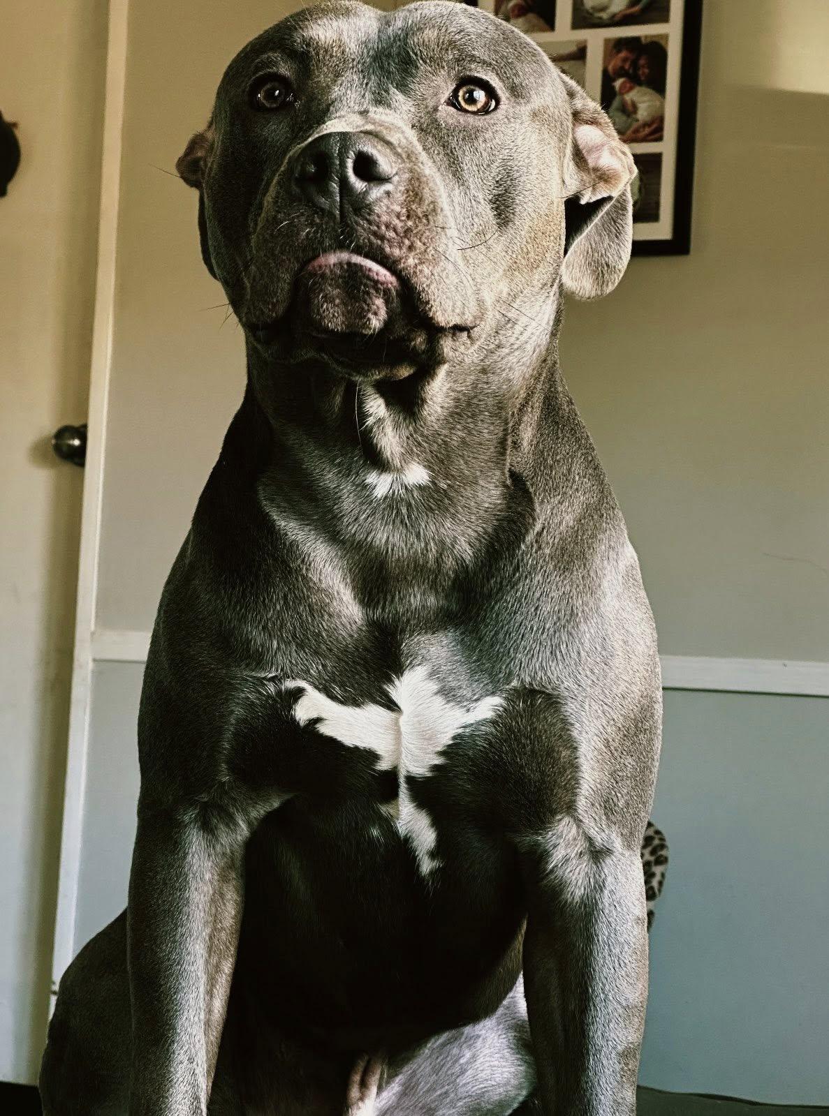 Frank