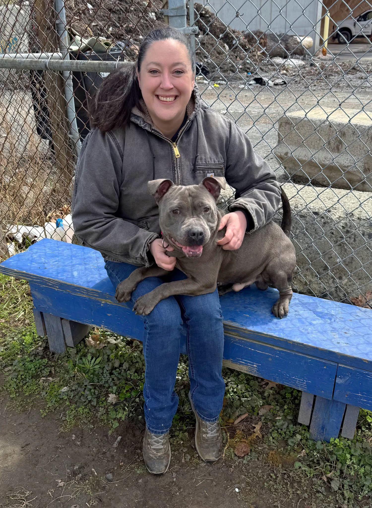 Enlarge Chunks, an adopted mixed breed in Cohoes, NY image 4/5