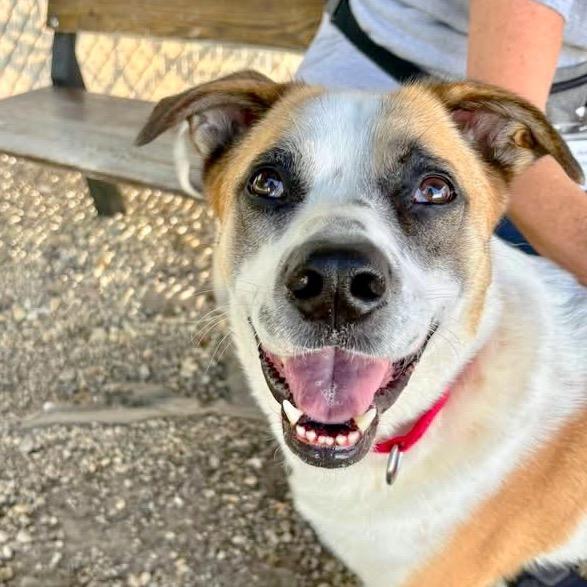 Odell — thumbnail 2