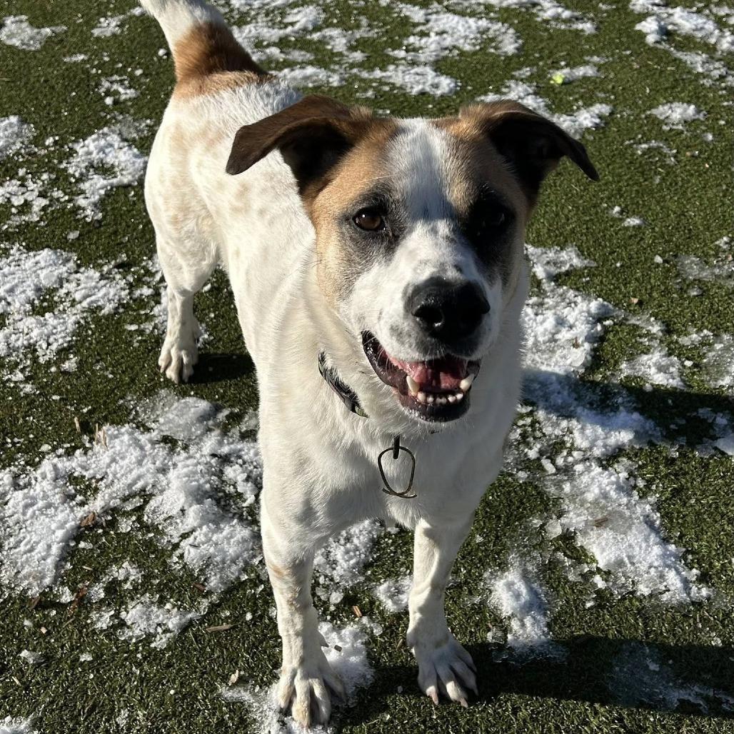 Odell — thumbnail 3