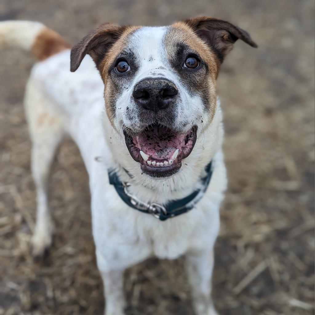 Odell — thumbnail 5