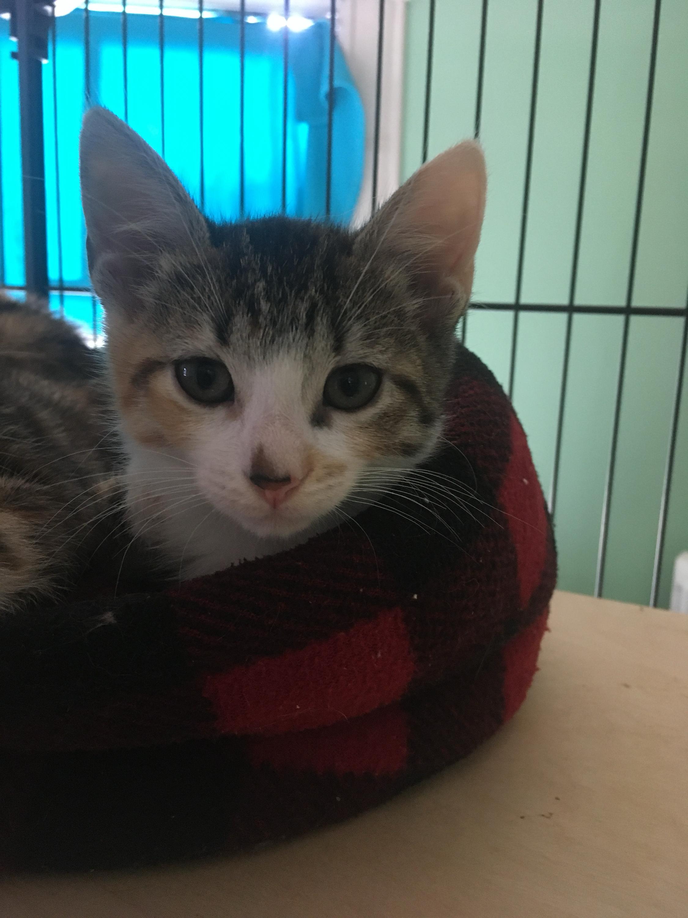 Scooter And Betty Butters thumbnail 2