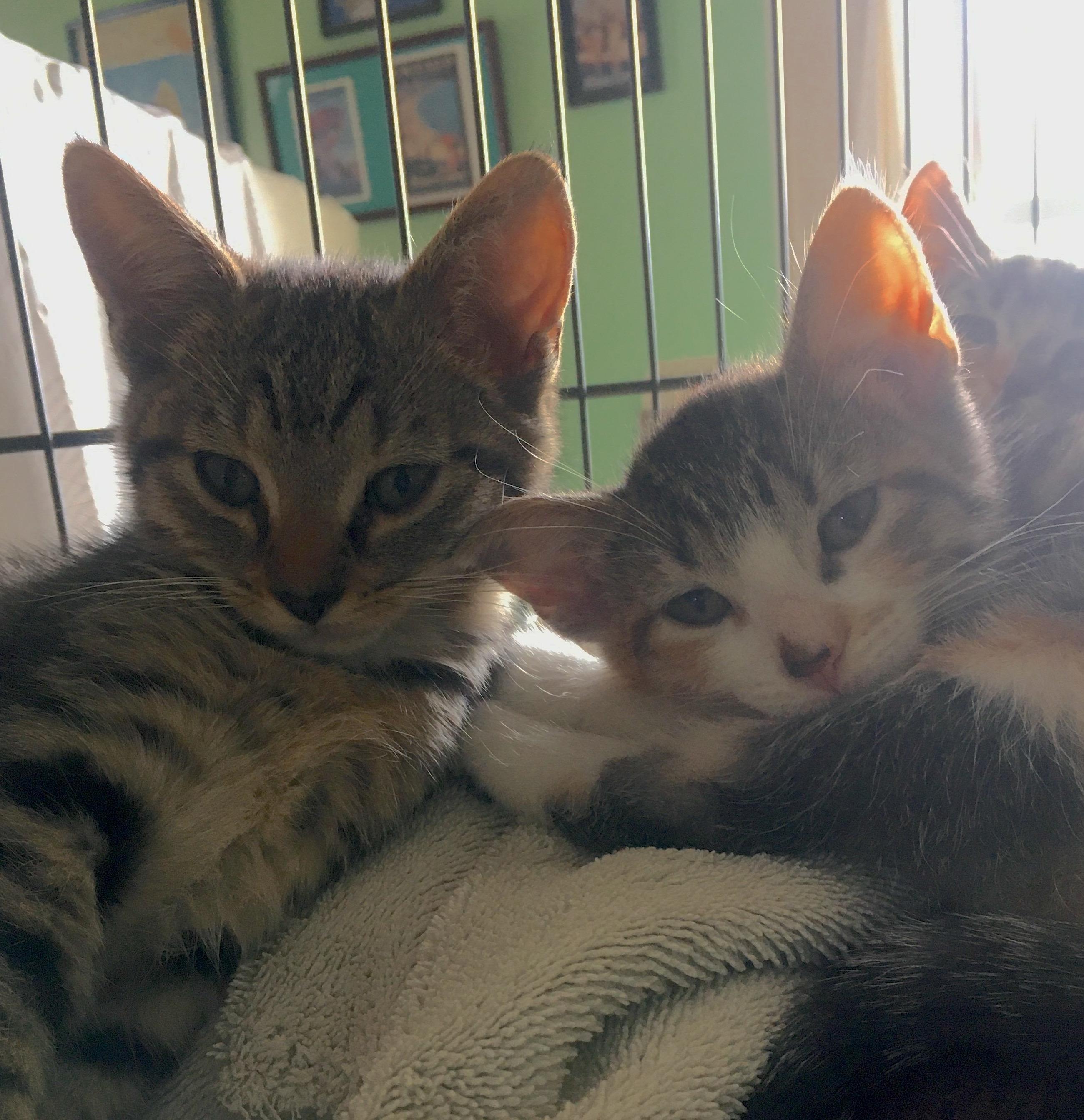 Scooter and Betty Butters