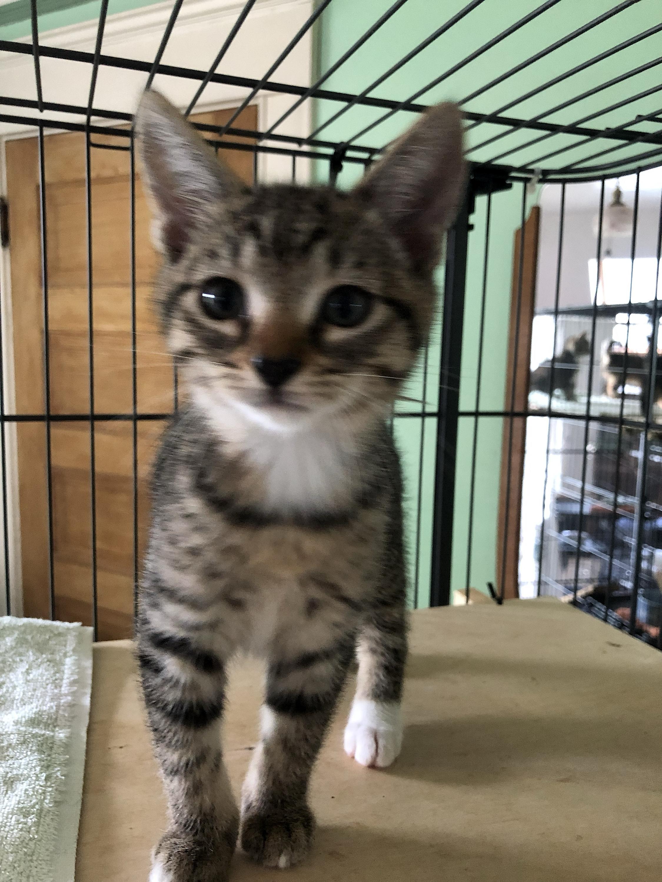 Scooter And Betty Butters thumbnail 3