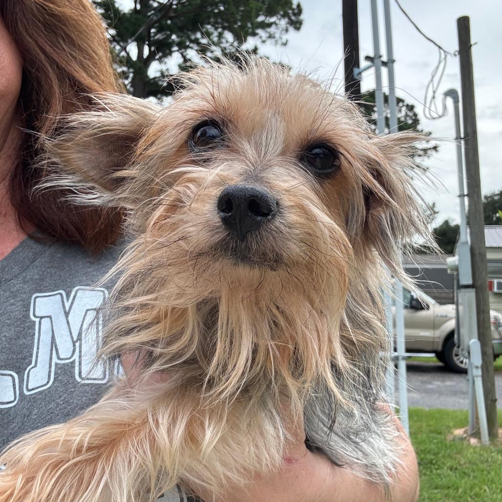 Neesha — thumbnail 2