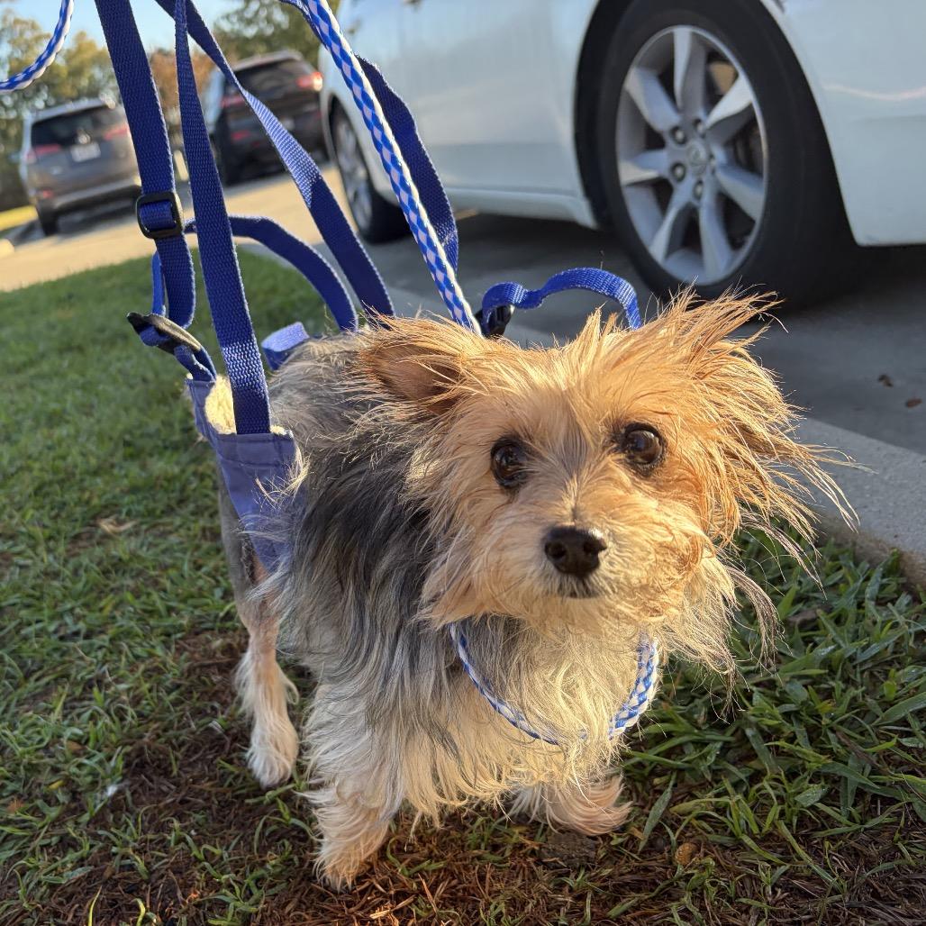 Neesha — thumbnail 3