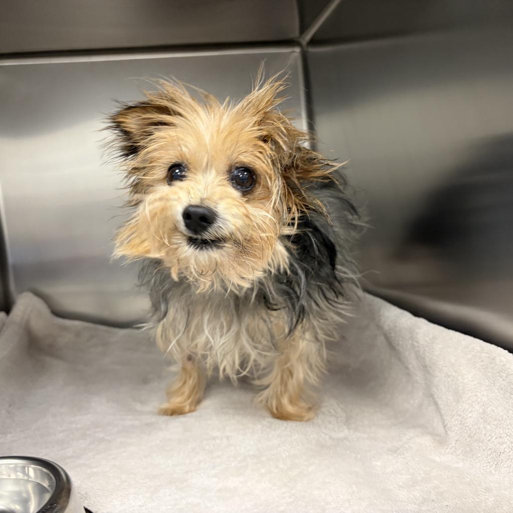 Neesha — thumbnail 4