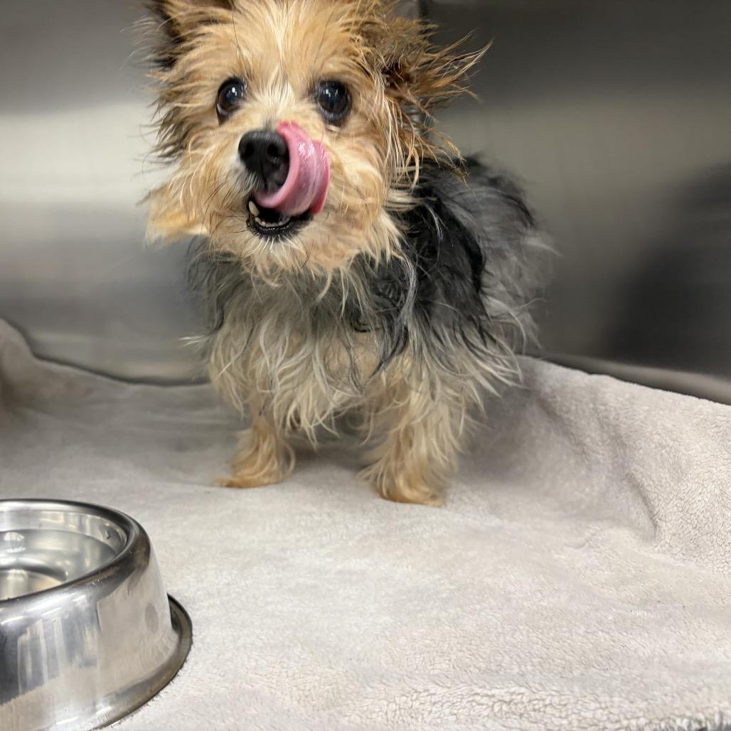 Neesha — thumbnail 5