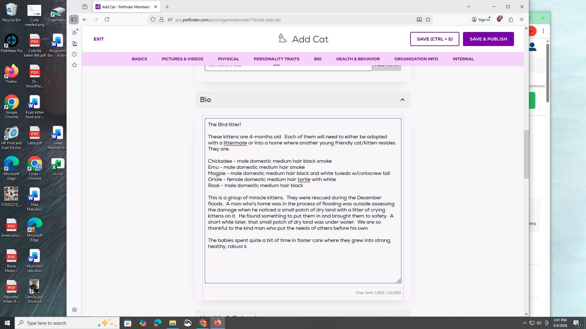 Enlarge Edwin, a ADOPTABLE Domestic Medium Hair in Kirkland, WA image 4/6