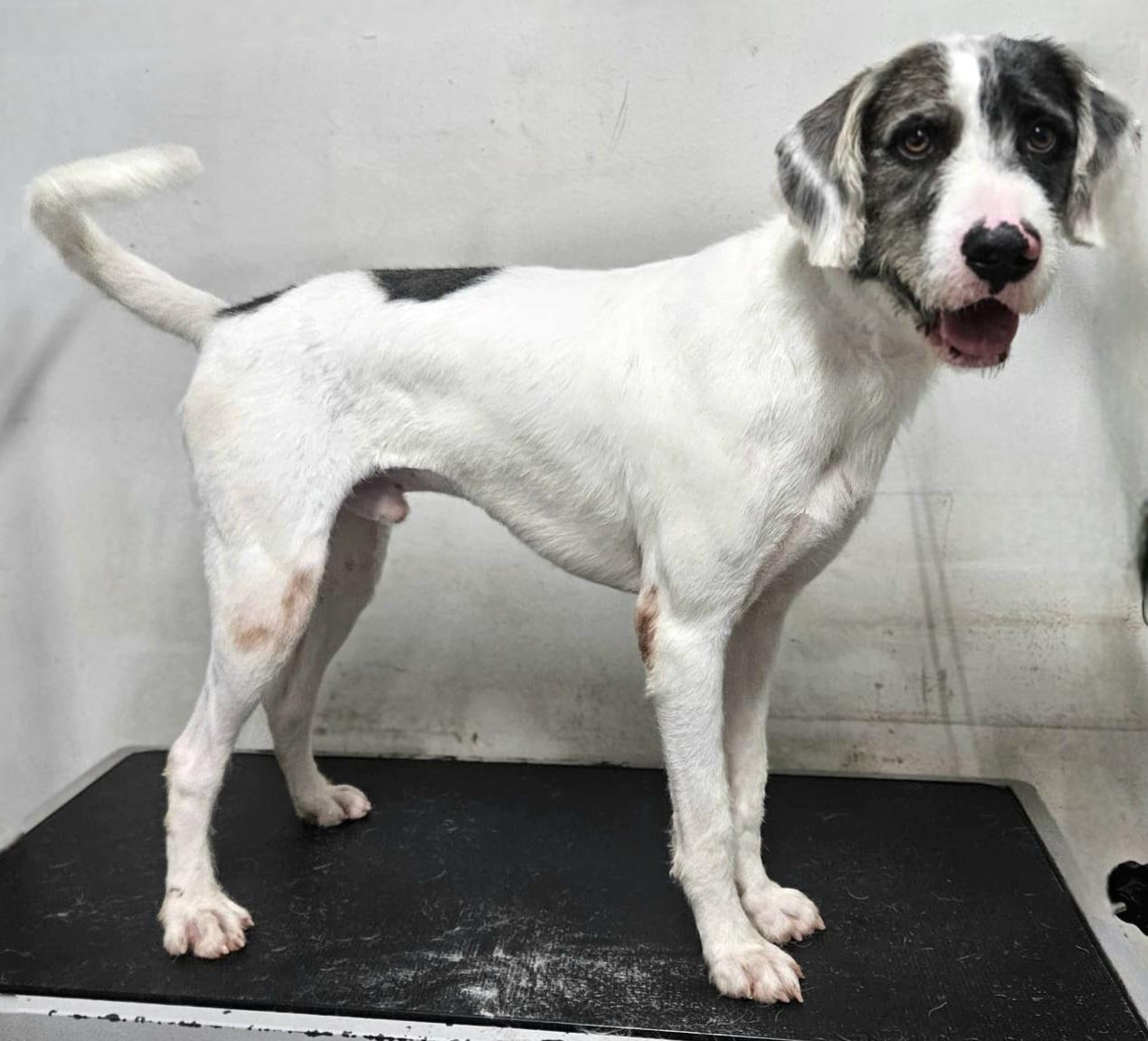 Hank "mr. Loveable!" thumbnail 2