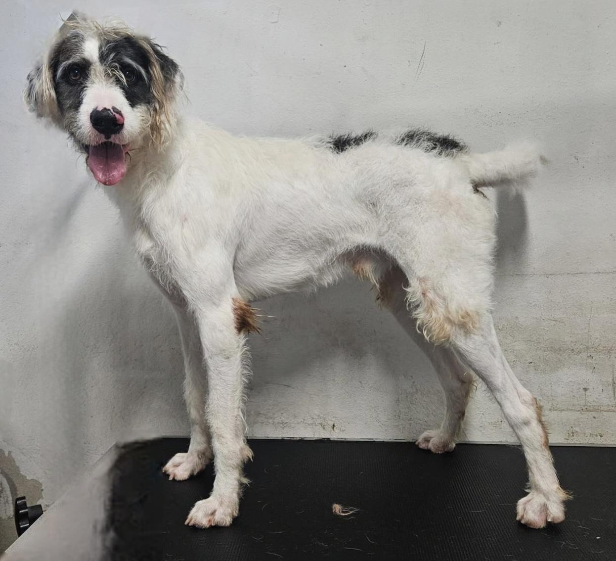 Hank "mr. Loveable!" thumbnail 4