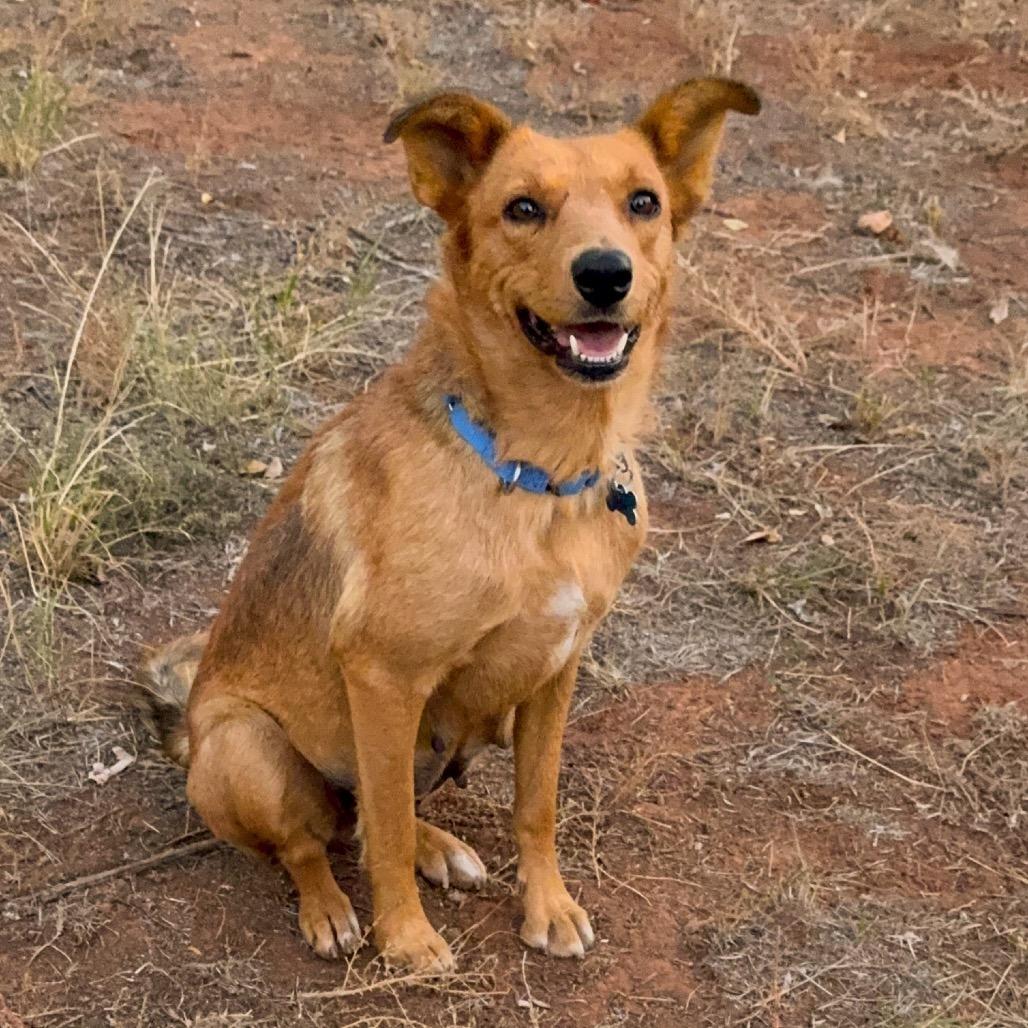 Ruth — thumbnail 2