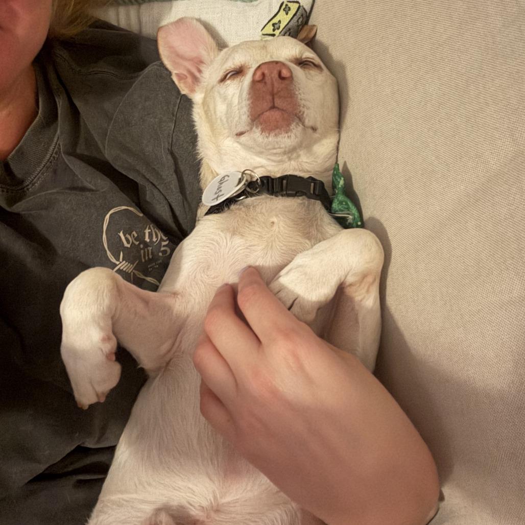 Ghost — thumbnail 2