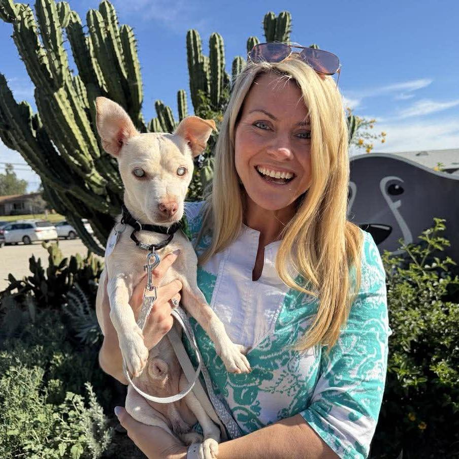 Ghost — thumbnail 6