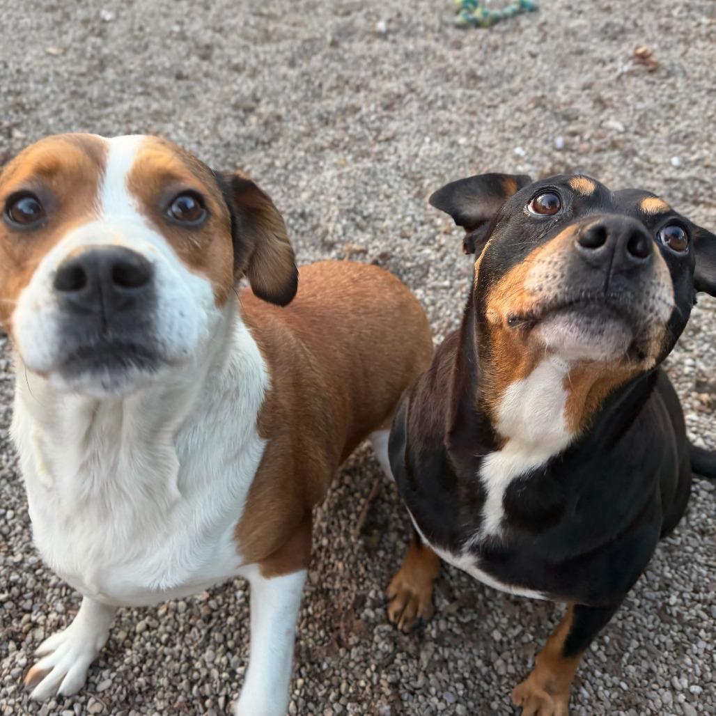 Lil' Mama — thumbnail 4