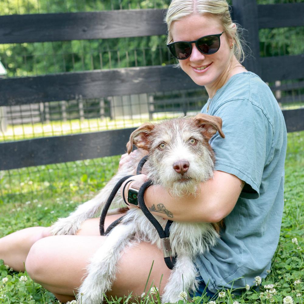 Enlarge Benji (Male), a Adoptable mixed breed in West Grove, PA image 3/6