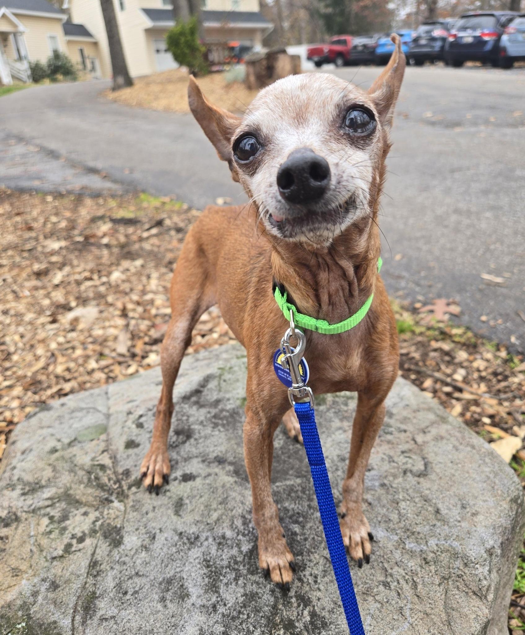 Bernie Mac thumbnail 3