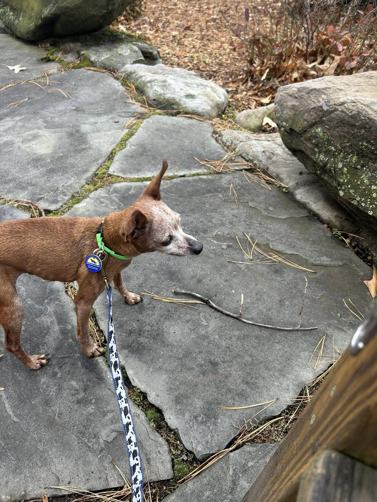 Bernie Mac thumbnail 4