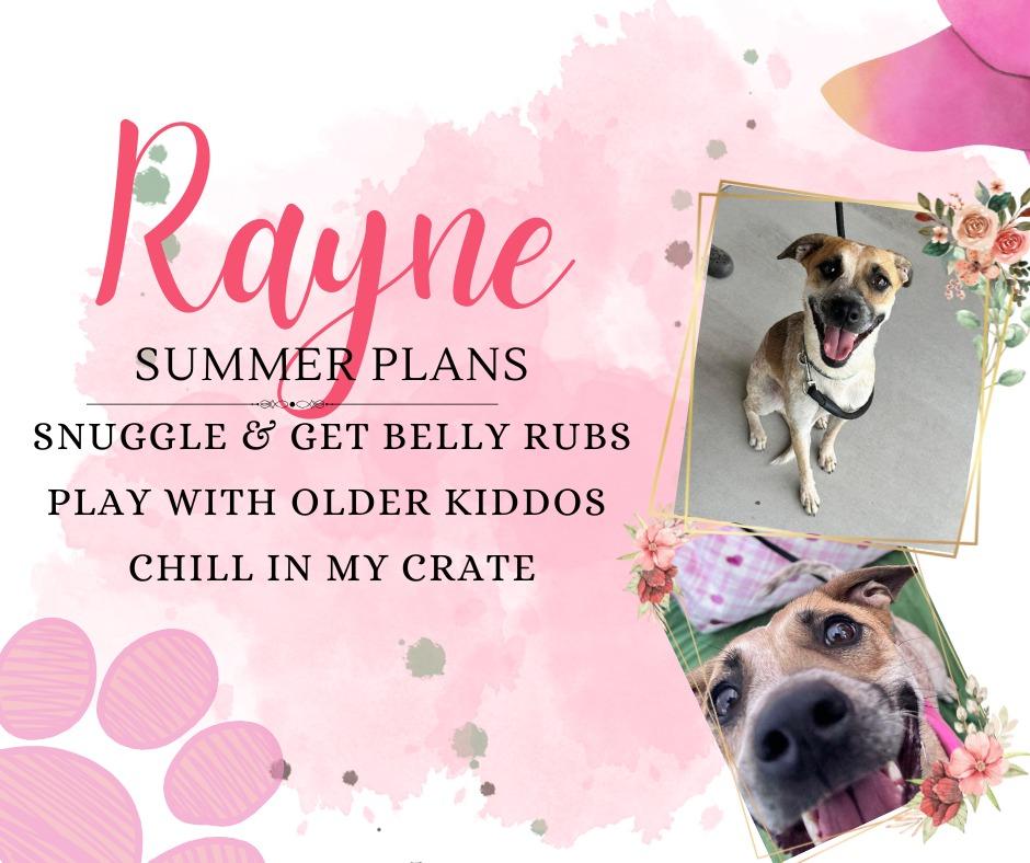 Rayne