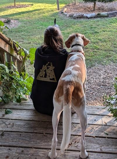 Pi , an adopted American Foxhound in Palmyra, VA image 5/6