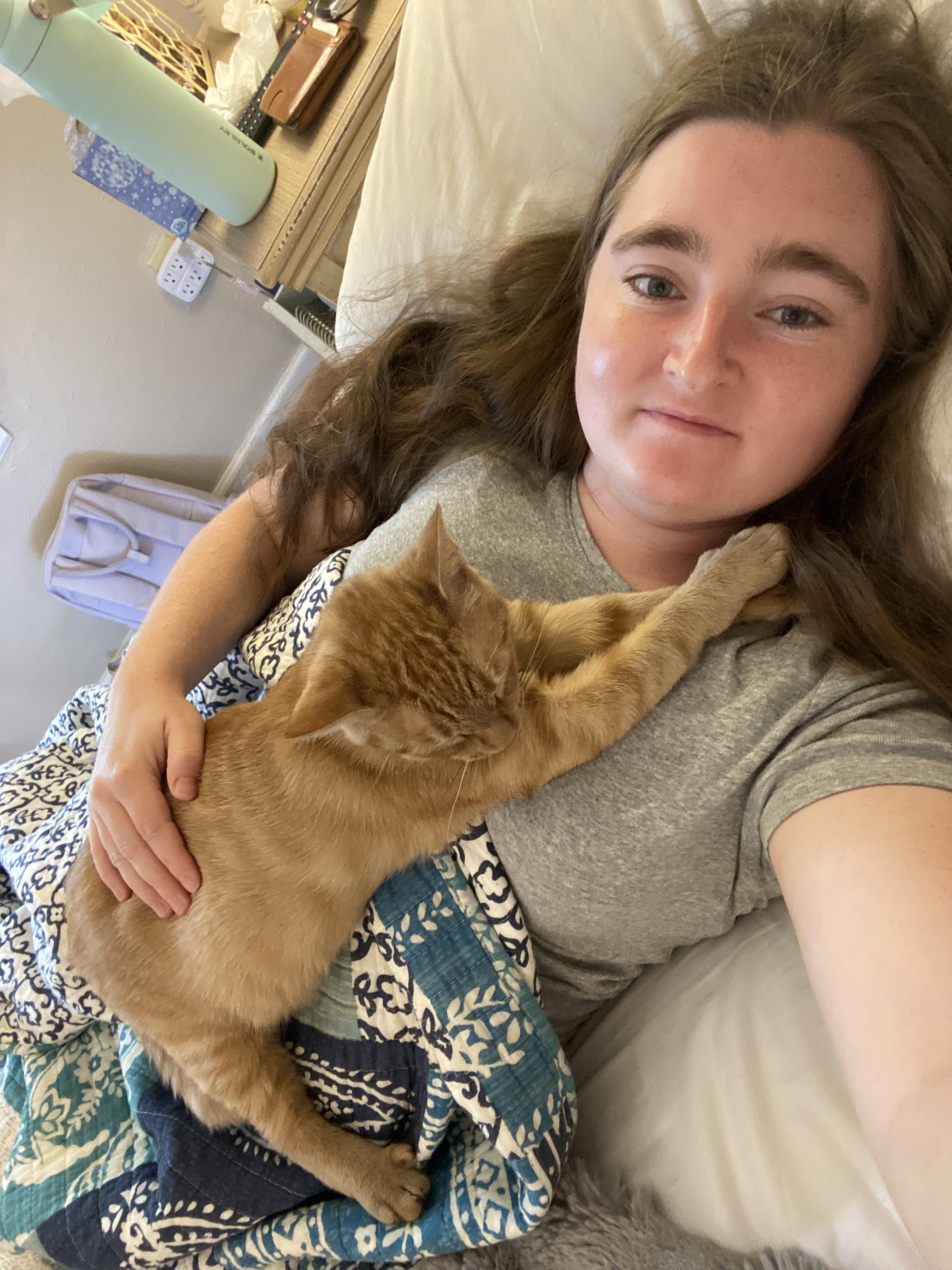 Marigold, a Adoptable Tabby in Houston, TX image 2/6