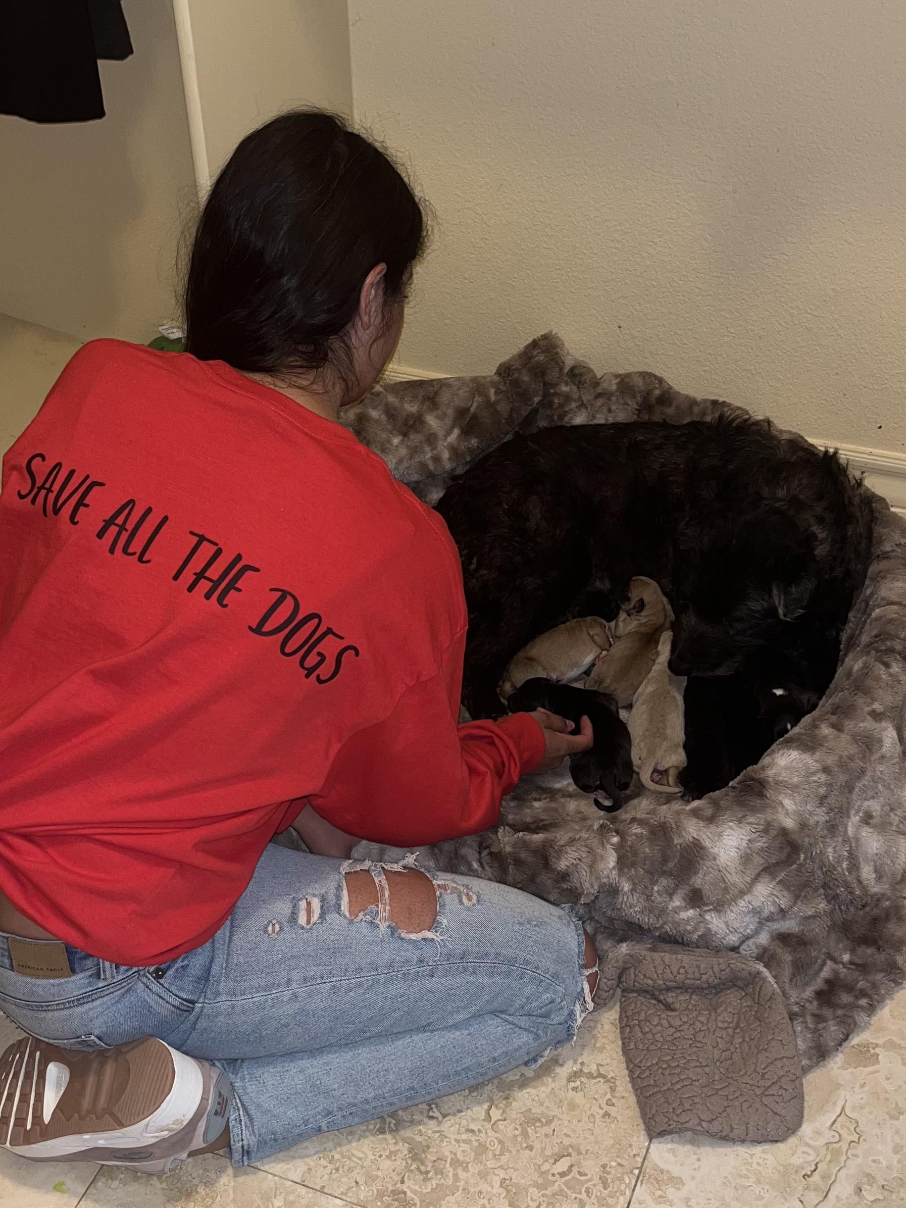 Winnie, a Adoptable mixed breed in El Paso, TX image 5/6