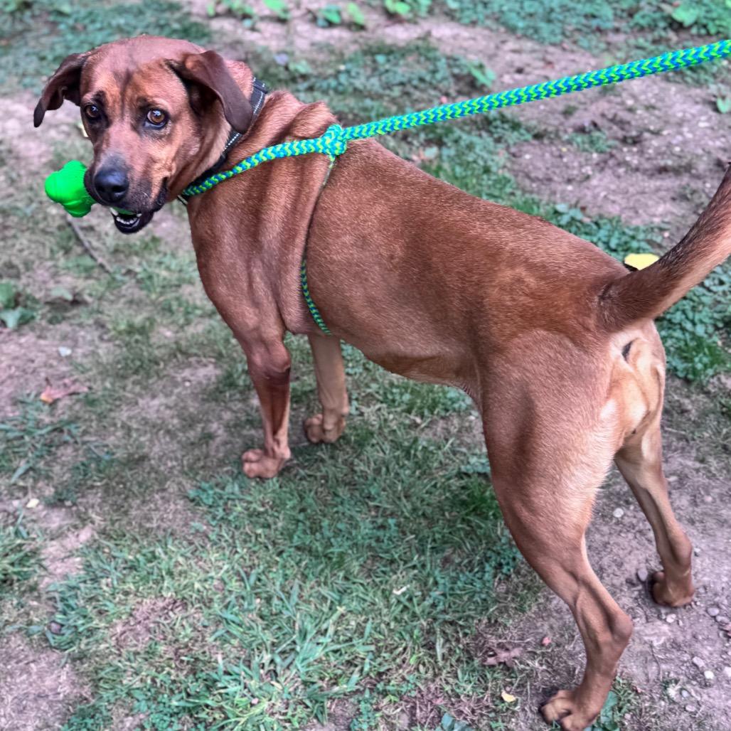 Lil Anne thumbnail 2