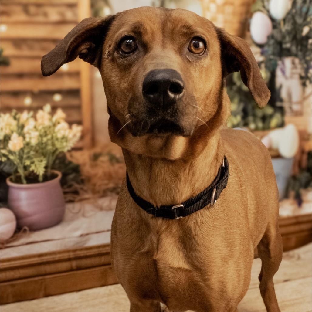 Lil Anne thumbnail 3