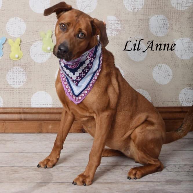 Lil Anne thumbnail 4