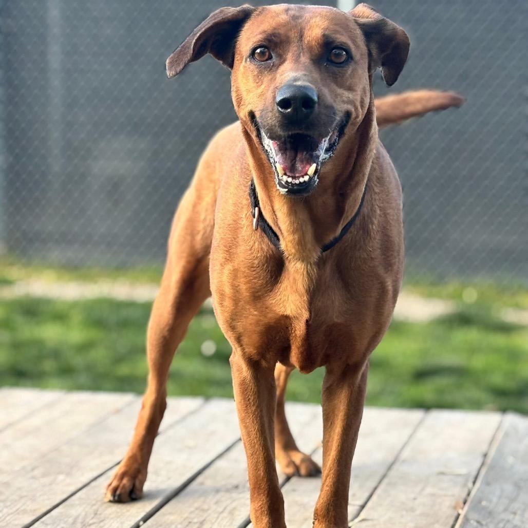 Lil Anne thumbnail 5