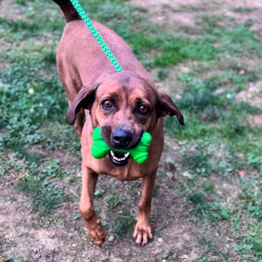 Lil Anne thumbnail 7