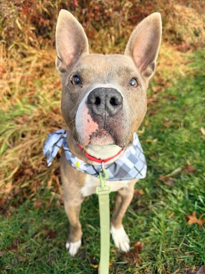 Tony — thumbnail 2