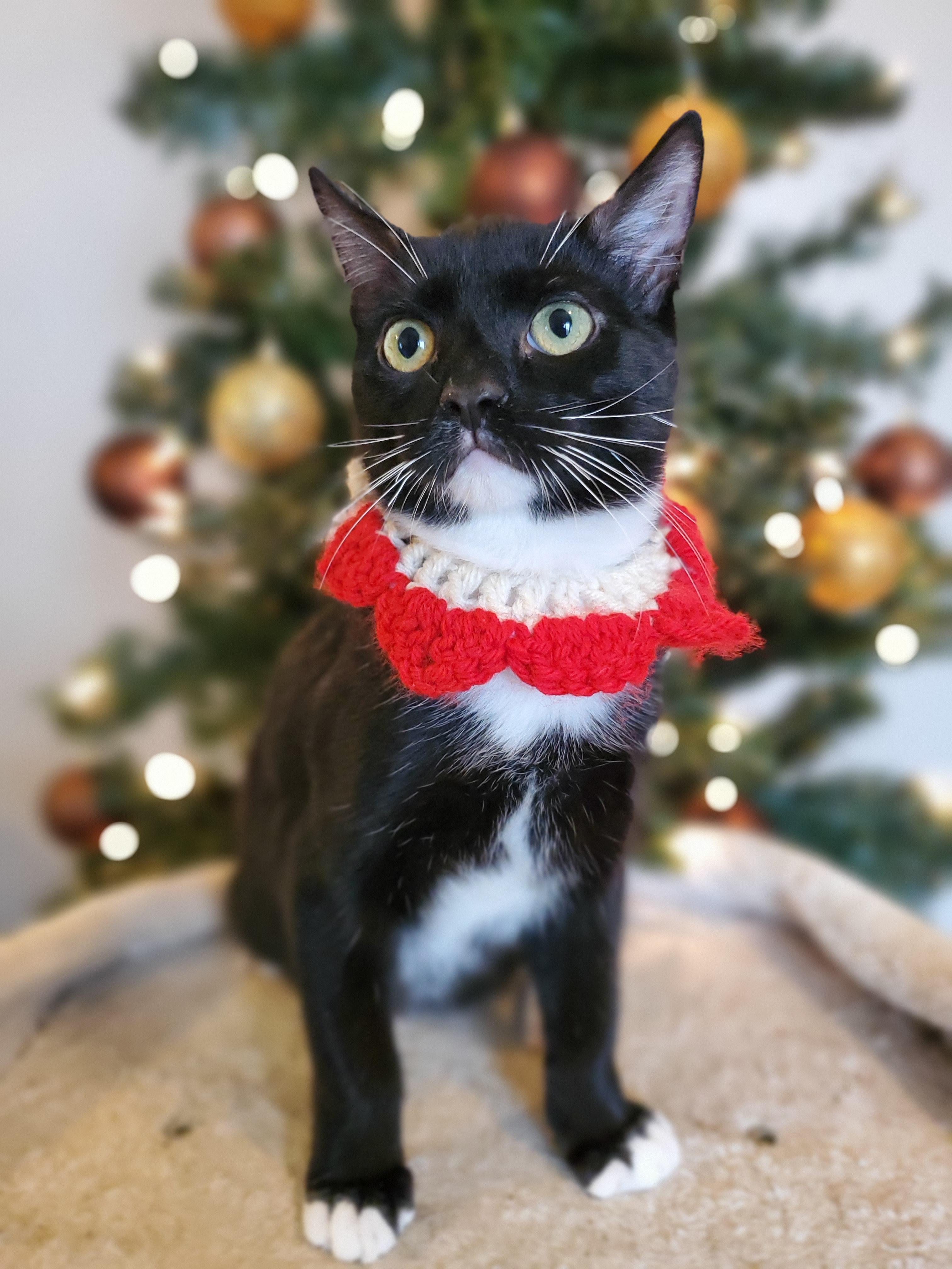 El Chichón thumbnail 2