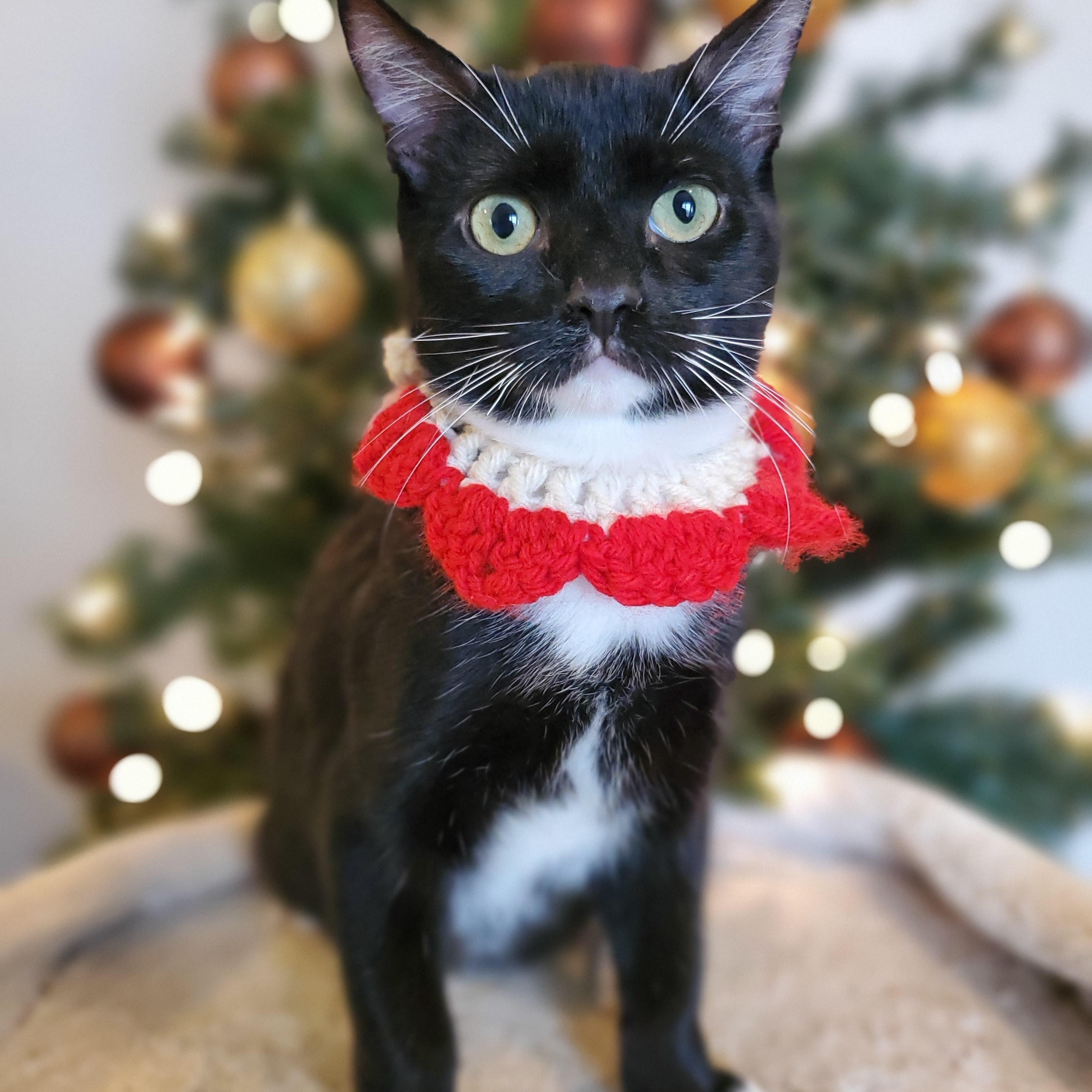 El Chichón thumbnail 3