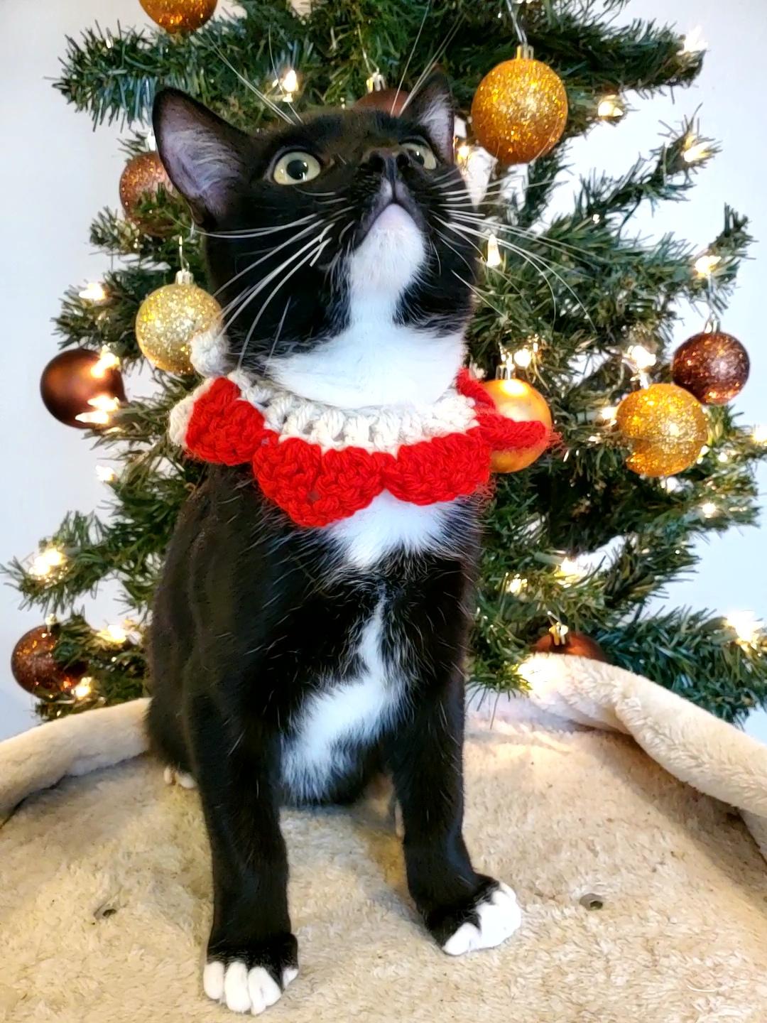 El Chichón thumbnail 4