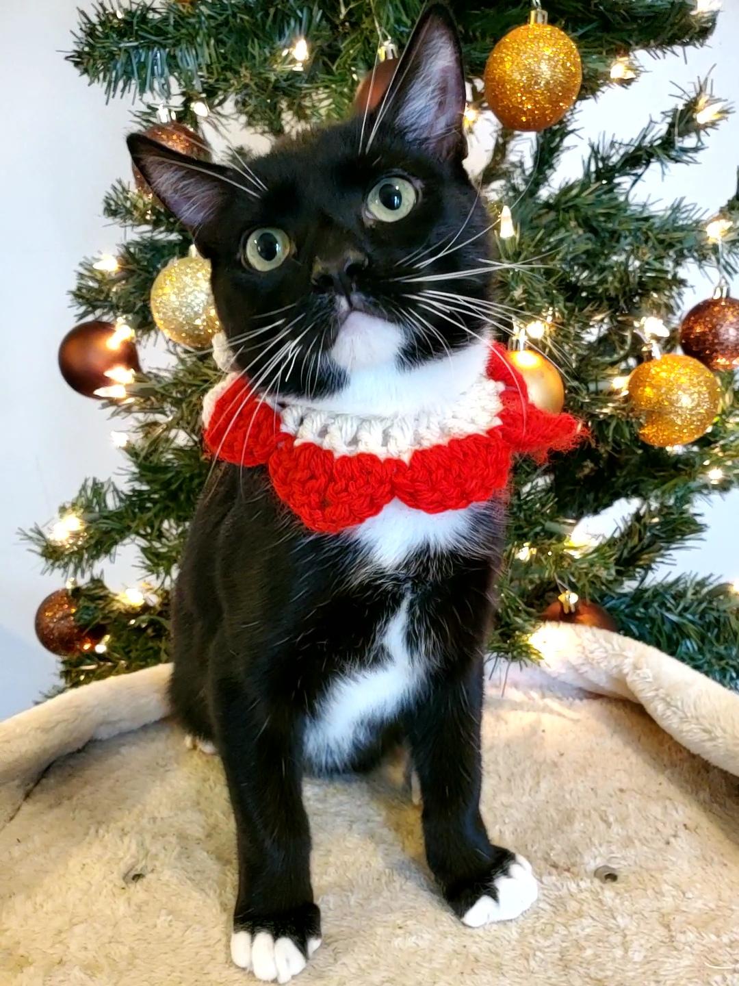 El Chichón thumbnail 5