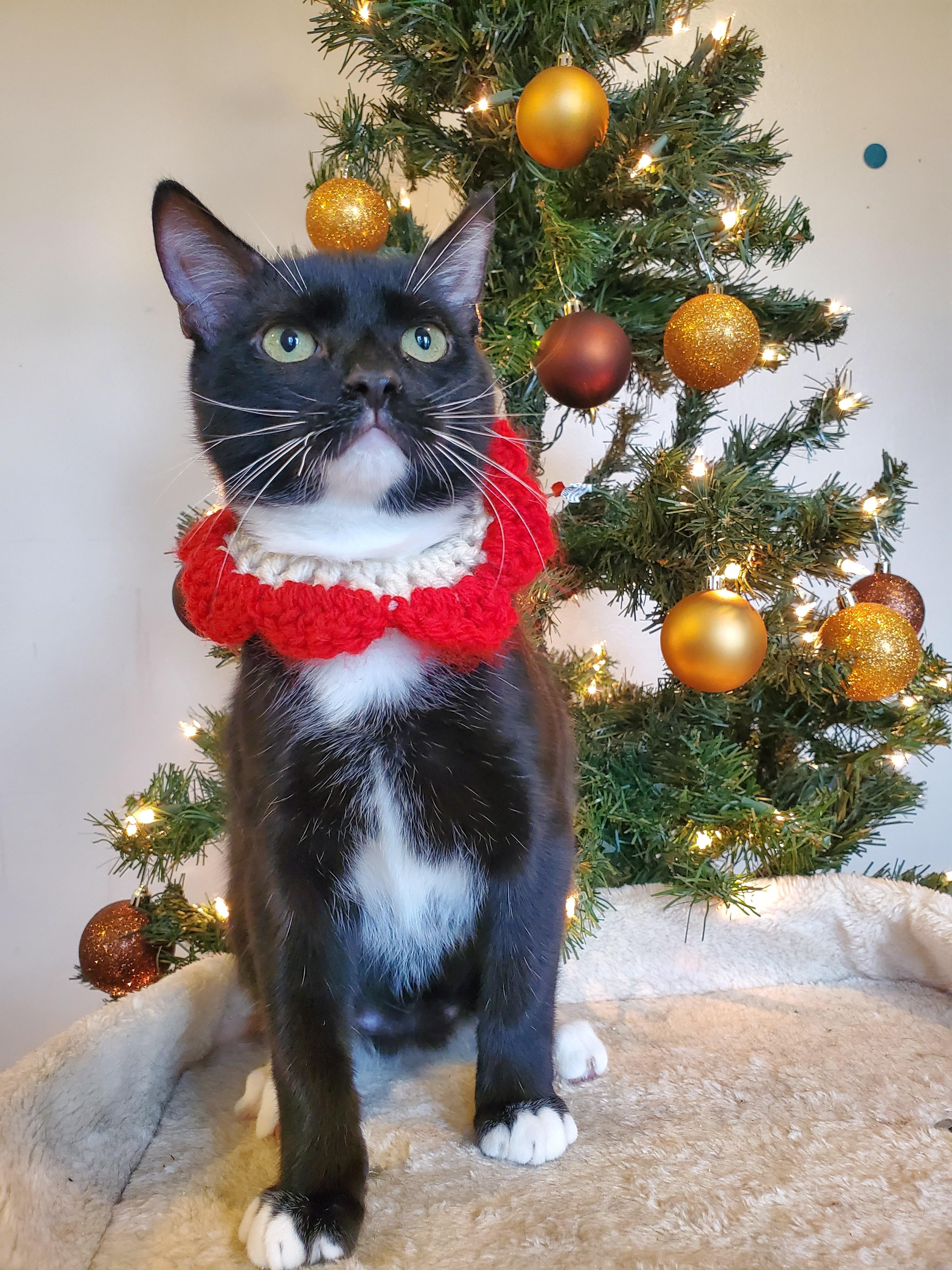 El Chichón thumbnail 6