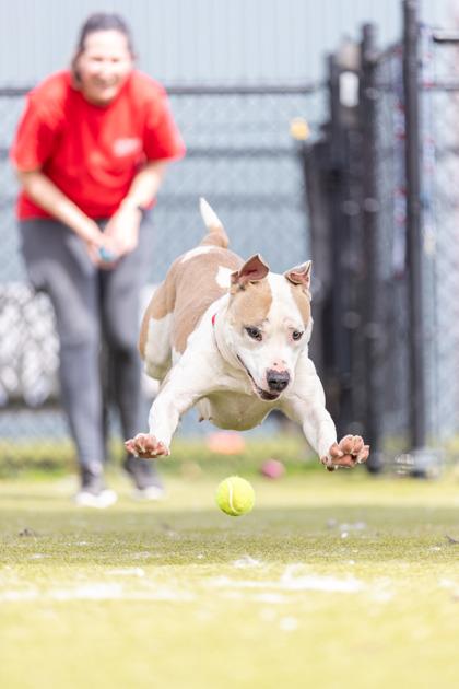 Vespa — thumbnail 2