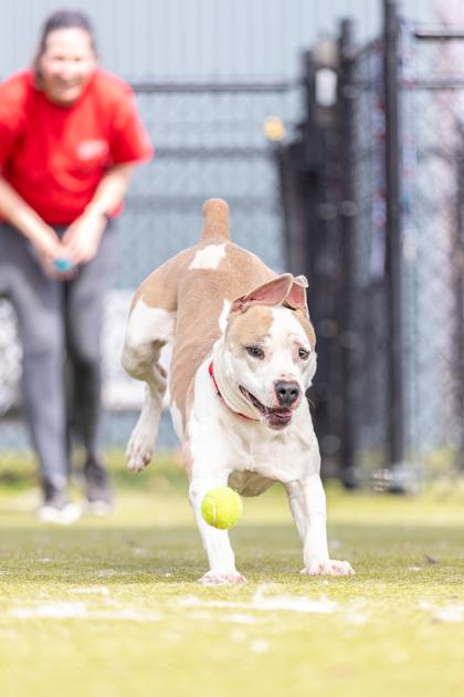 Vespa — thumbnail 3