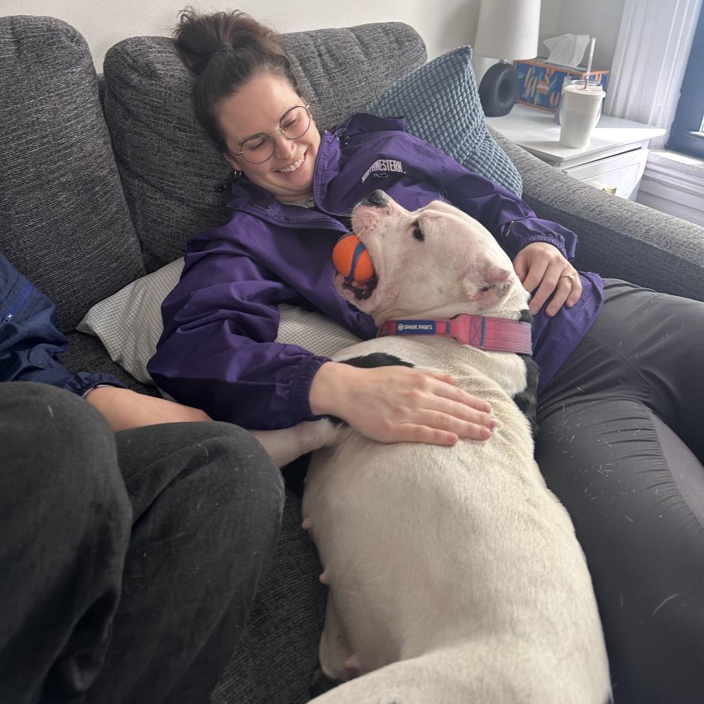 Enlarge Mavis, a Adoptable Pit Bull Terrier in Chicago, IL image 6/6